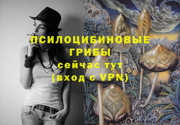 герыч Горнозаводск