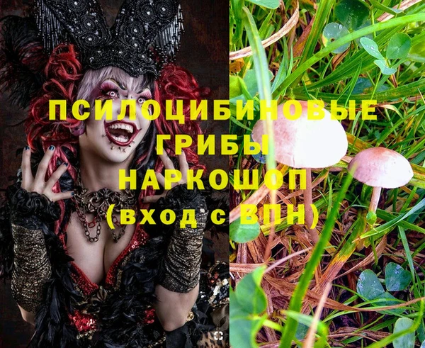 2c-b Горняк